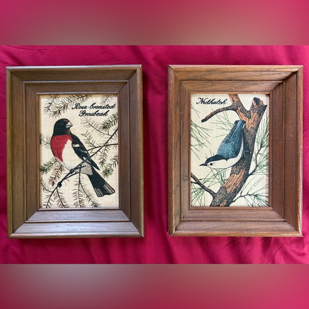 Framed Bird Embroidery Art Set